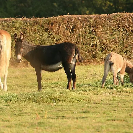 La Ferme Du Bailly * Riezes